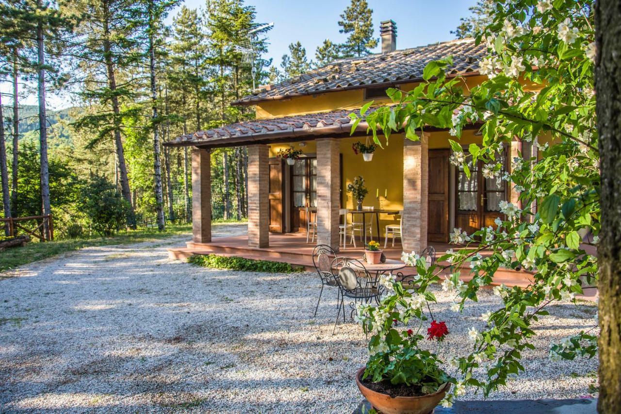 Villa Il Ginepro Cortona Exterior foto
