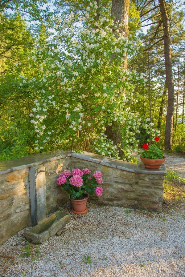 Villa Il Ginepro Cortona Exterior foto