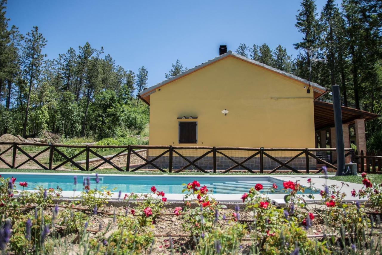 Villa Il Ginepro Cortona Exterior foto